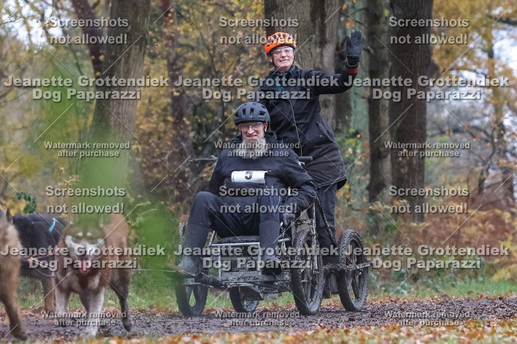 Dog Paparazzi - Ströhen 25-8 | Dog Paparazzi Jeanette Grottendiek Fotografie & Videografie