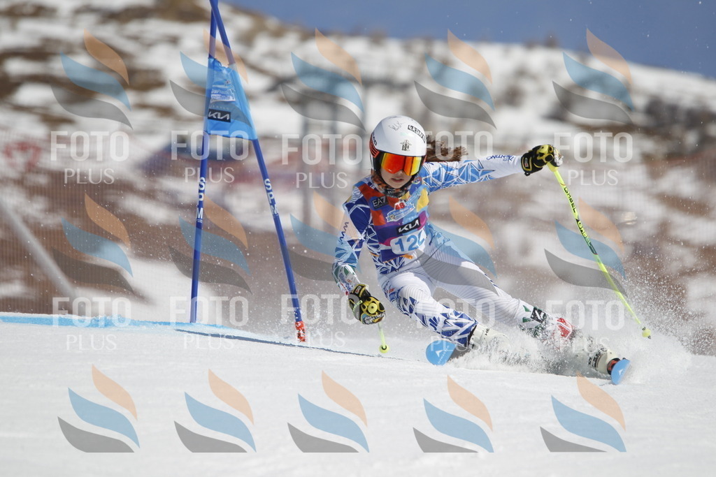 _U3G0729 | holidayphoto