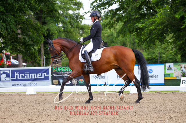 DKP41627 | Deine Turnierfotos vom Reitturnier online kaufen: Dressur, Springen & Siegerehrung. Professionelle Pferdefotografie aus dem Rheinland – als Download & Print.Alternative: Turnierfotograf für den Pferdesport: Finde deine Fotos von Dressur- und Springturnier