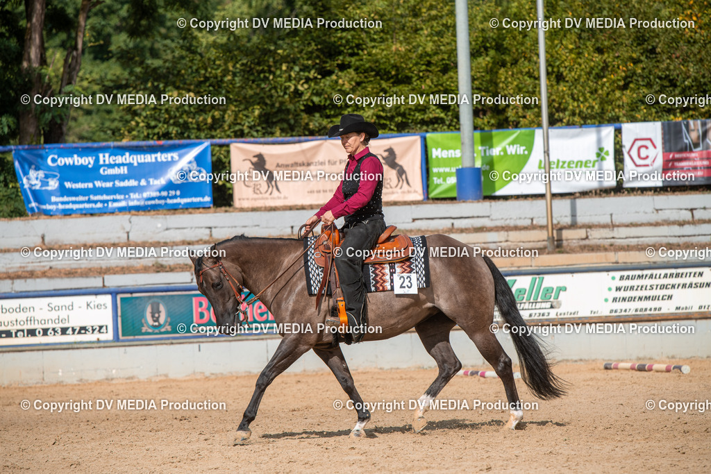 EWP_5811 | dv-media-shop - Realisiert mit Pictrs.com