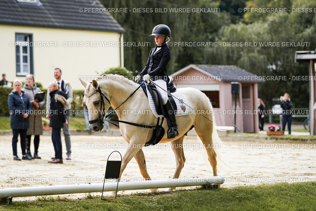 DSC05260 | Pferdegrafie