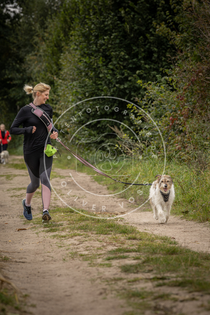 Pfotenfotografie_DV3A8202 | Hundefotografie, Tierfotograf, Pfotenfotografie, Fotoshooting Hund, Hunde Portrait, Hundesport, Hundeportraits, Heideshooting, Hunde, Sportfotograf, Hundefotograf, Turnierhundsport, THS,  - Realisiert mit Pictrs.com
