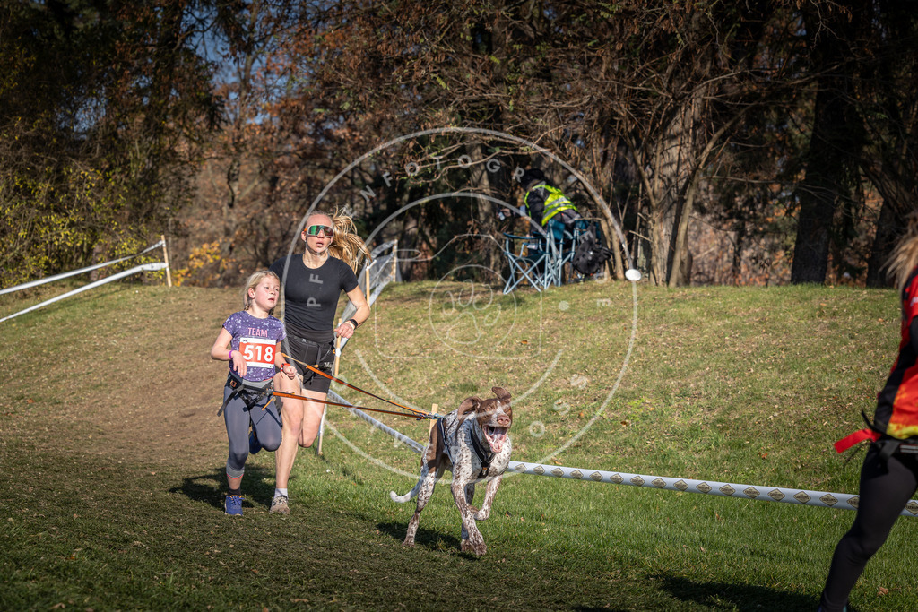 CaniXpix_0L8A8626 | Hundefotografie, Tierfotograf, Pfotenfotografie, Fotoshooting Hund, Hunde Portrait, Hundesport, Hundeportraits, Heideshooting, Hunde, Sportfotograf, Hundefotograf, Turnierhundsport, THS,  - Realisiert mit Pictrs.com