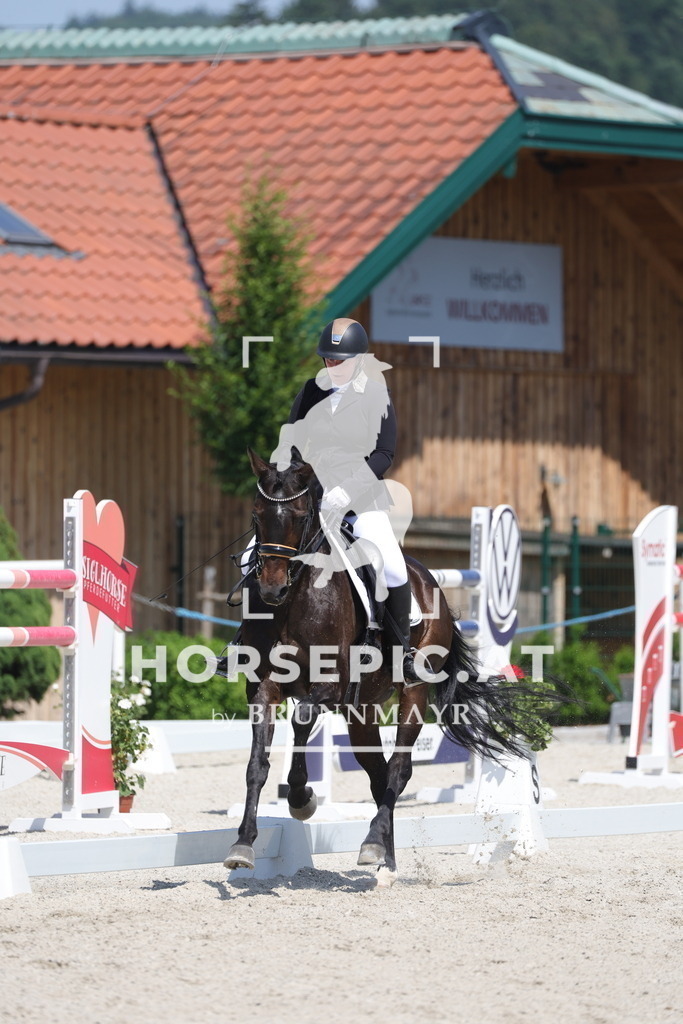 0P6A6277 | Willkommen bei Brunnmayr - Design & Fotografie – Ihrem Spezialisten für Reitturniere und Pferdeveranstaltungen in Oberösterreich, Salzburg und Bayern! Seit über 17 Jahren sind wir leidenschaftlich dabei.