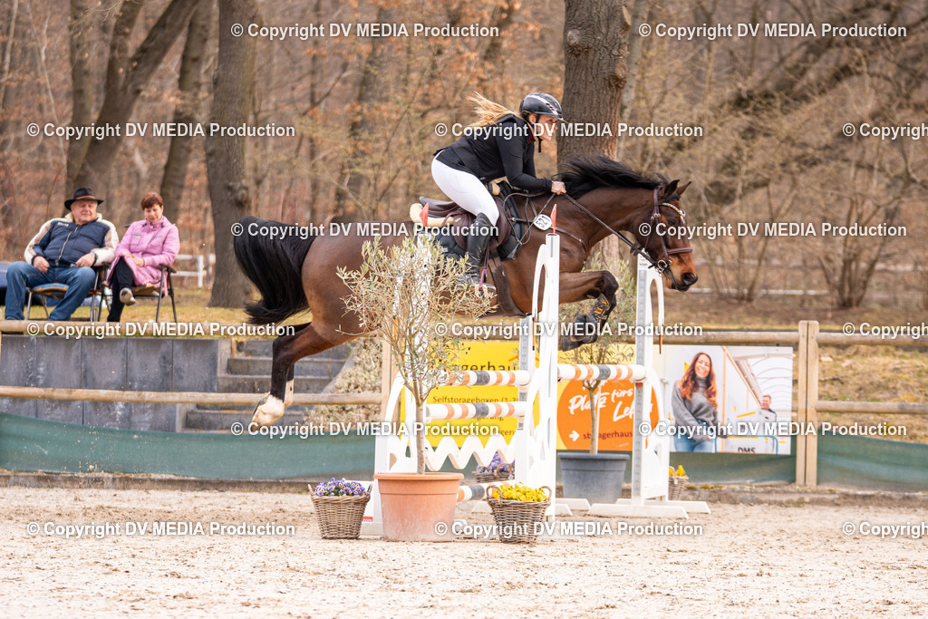 Kranichstein Tag 2-1315 | dv-media-shop - Realisiert mit Pictrs.com