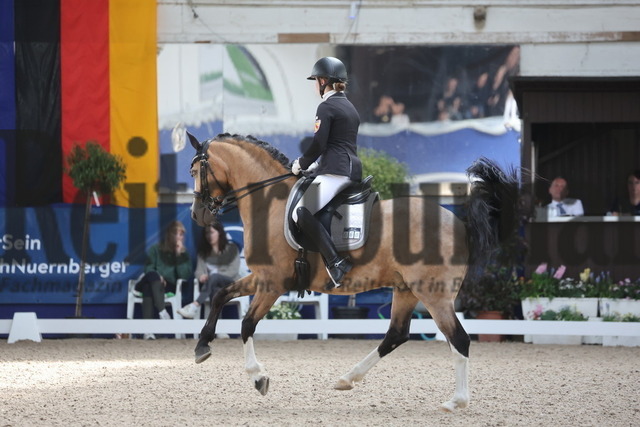 Pforzheim_2024_Prfg.Nr.12_Dressurreiterprfg.Kl.M_Nürnberger-Burgpokal_Cecile Mutz_Capri au Lait (21) | Alle Fotos der Reiterjournal Fotografin Doris Matthaes im Reiterjournal Online-Fotoshop. - Realisiert mit Pictrs.com