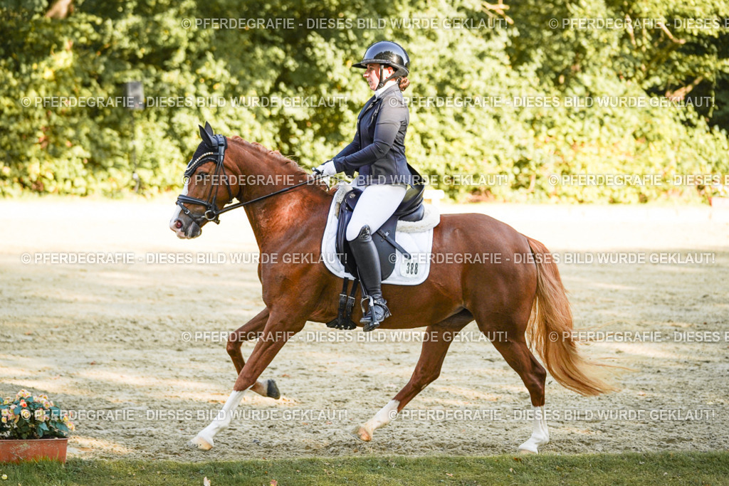 DSC06304 | Pferdegrafie