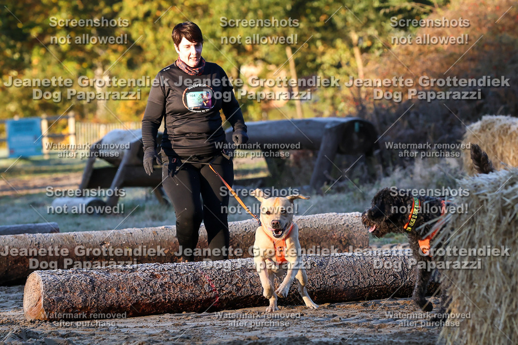 Dog Paparazzi - Strongdog 10-25-438 | Dog Paparazzi Jeanette Grottendiek Fotografie & Videografie - Realisiert mit Pictrs.com