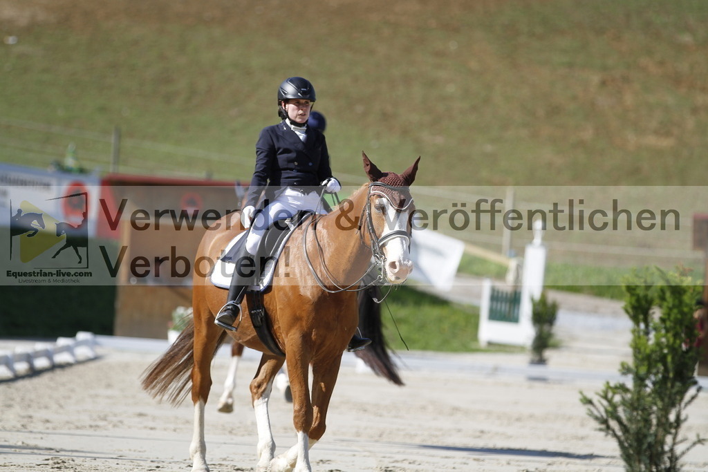 _MG_3027 | equestrian-live-com
