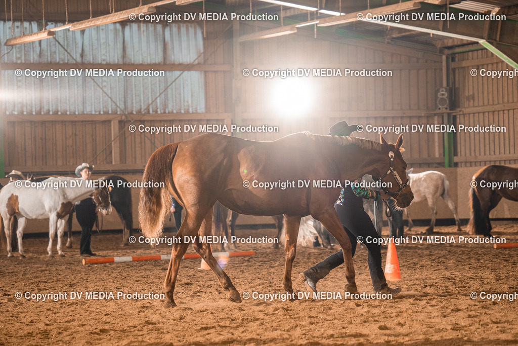 BAL01239 | dv-media-shop - Realisiert mit Pictrs.com