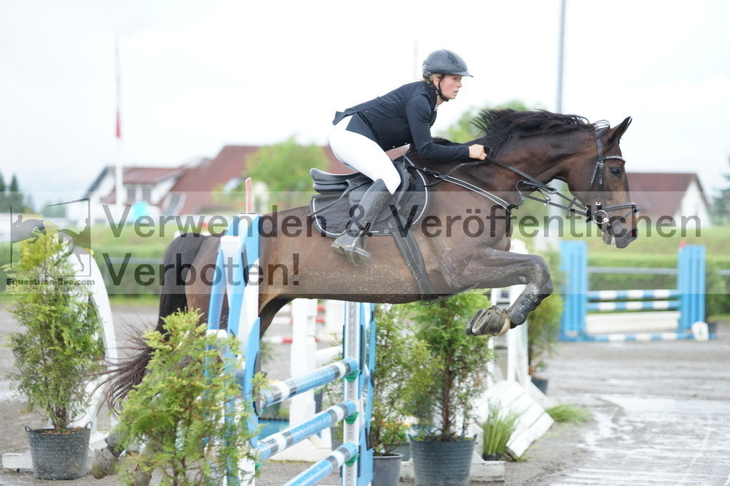 DSC06829 | equestrian-live-com