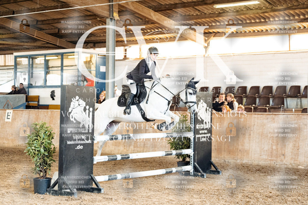 CK905283 | Turnierfotografie Pferdefotografie Trier Rheinland-Pfalz Pferdesport Reitsport Tierfotografie Sportfotografie Pferdevideo Pferdevideografie Equestrianvideography equestrianphotography  - Realized with Pictrs.com