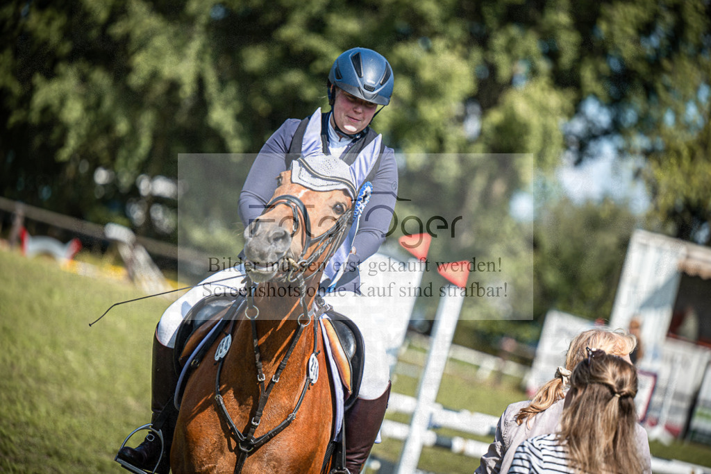 Z63_0033 | Entdecke hochwertige Reitturnierfotos von Foto Oger. Professionell, emotional und authentisch – jetzt Lieblingsmomente im Shop bestellen.Deutschlandweite Turnierfotografie. - Realisiert mit Pictrs.com