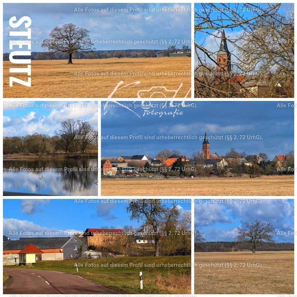 Photo_1740844750084 | krollfotografie - Realisiert mit Pictrs.com