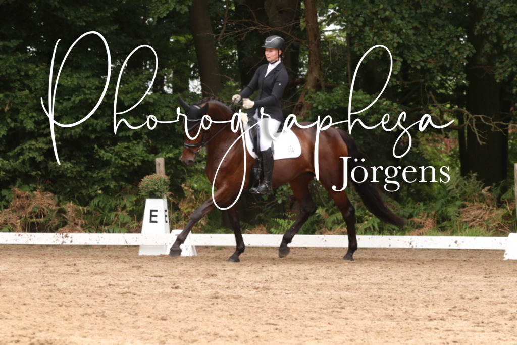 IMG_9691 | photographesa-joergens - Realisiert mit Pictrs.com