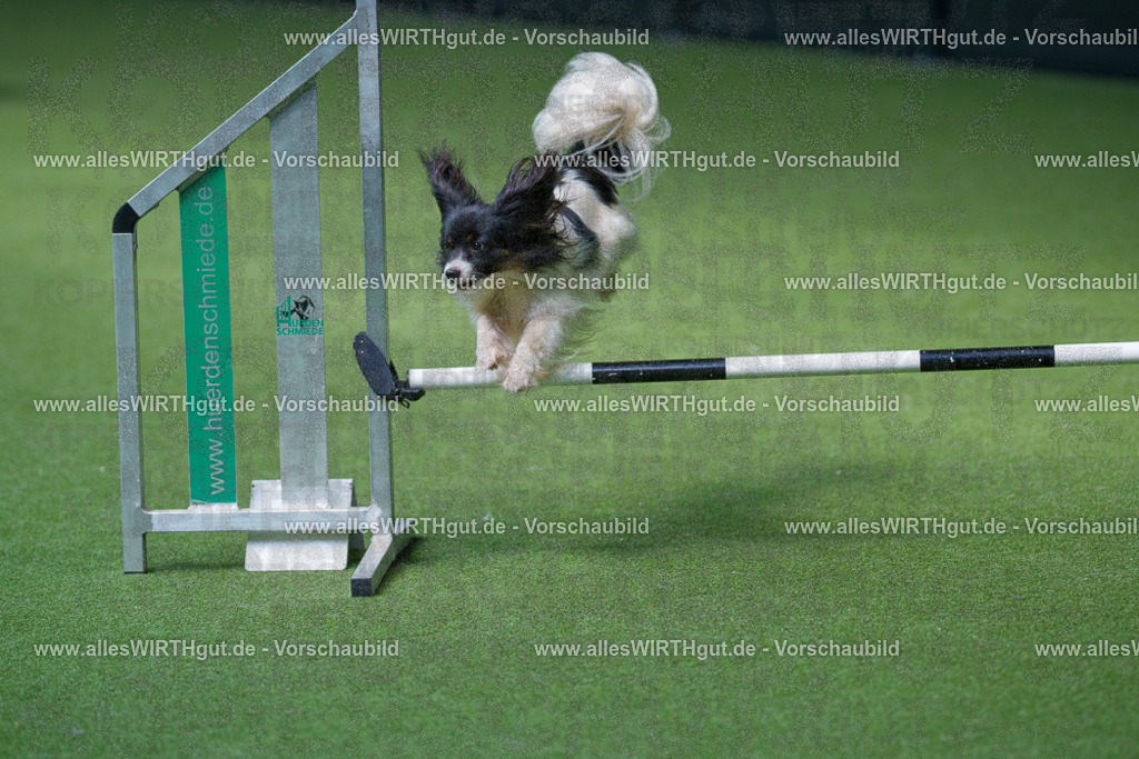 @allesWIRTHgut_Tierfotografie - www.allesWIRTHgut.de - 2604251402-7R504605 | Professionelle Tierfotografie in Mönchengladbach von Daniel Wirth (allesWIRTHgut). Liebevolle & natürliche Bilder von Hunden & Katzen für unvergessliche Erinnerungen.
