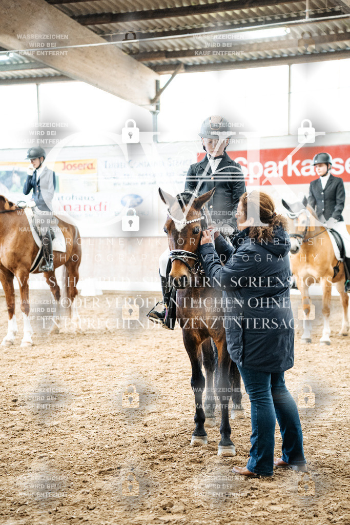 CK703076 | Turnierfotografie Pferdefotografie Trier Rheinland-Pfalz Pferdesport Reitsport Tierfotografie Sportfotografie Pferdevideo Pferdevideografie Equestrianvideography equestrianphotography  - Realized with Pictrs.com