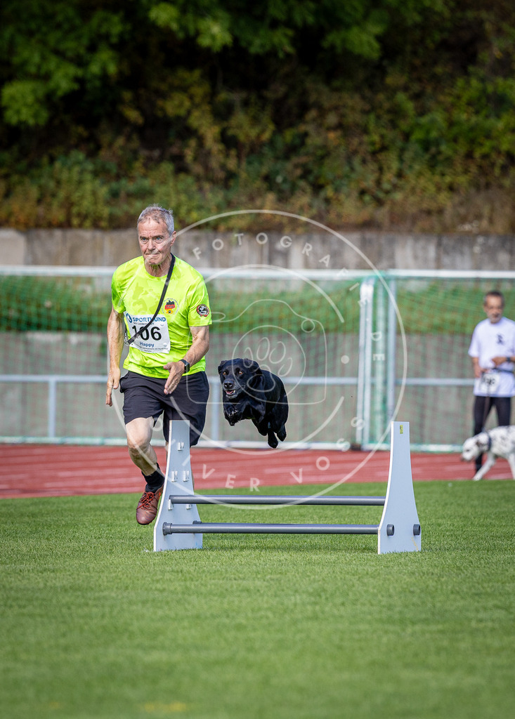 Pfotenfotografie_DV3A8160 | Hundefotografie, Tierfotograf, Pfotenfotografie, Fotoshooting Hund, Hunde Portrait, Hundesport, Hundeportraits, Heideshooting, Hunde, Sportfotograf, Hundefotograf, Turnierhundsport, THS,  - Realisiert mit Pictrs.com
