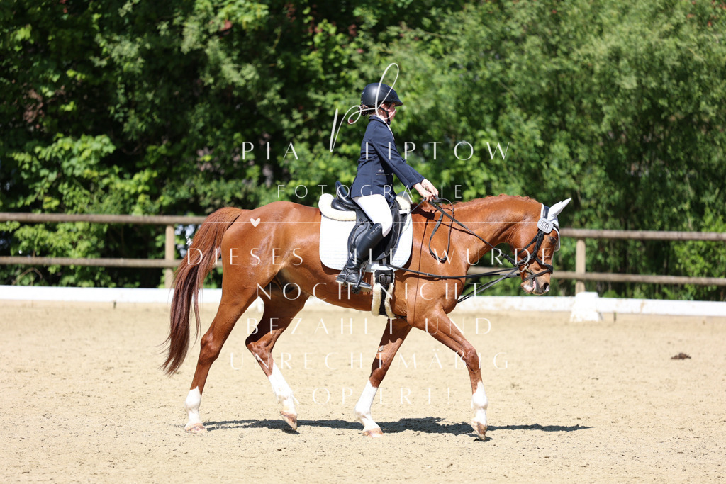 IMGS3251 | pl-fotografie