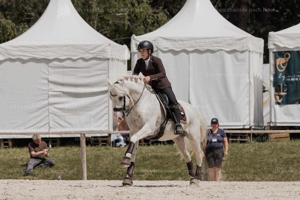 WE_SP_Stoib_318_PI2025_2065 | Pferd International München 2025