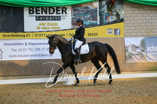 IMG_2633 | Turnierfotos kaufen im Webshop von Daniel Kuhl Photography – entdecke professionelle Reitsportfotos aus Turnieren & Events. Hochwertige Turnierbilder online bestellen & sichern. Jetzt Fotos von Reitsportturnieren kaufen!