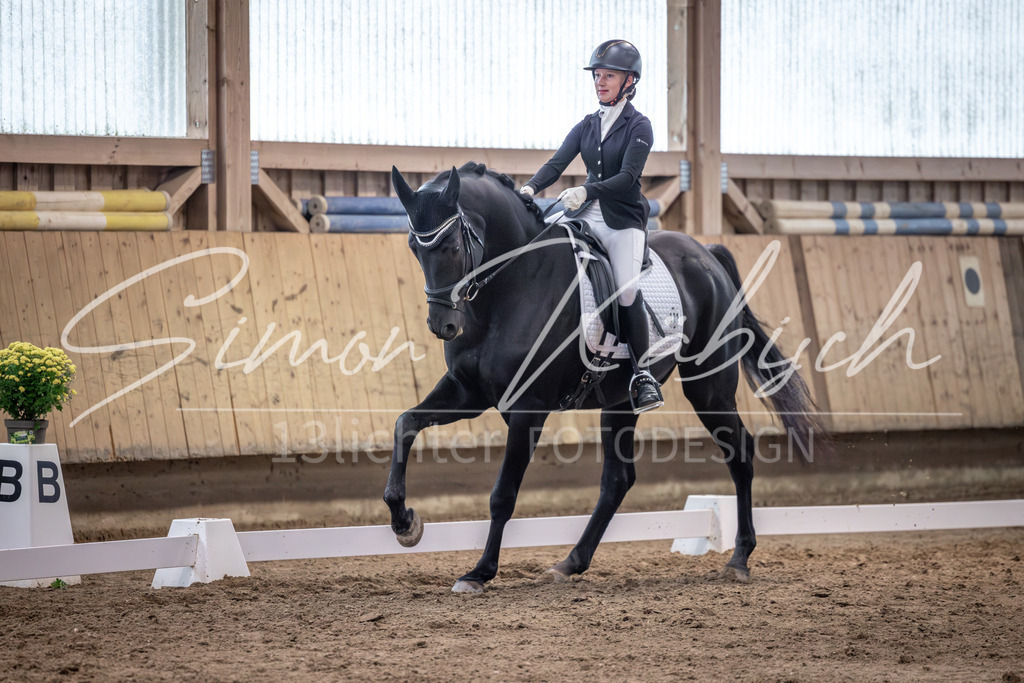 20251011-_3LI2101 | Tierfotografie Pferde, Hunde, Katzen, Haustiere.
Turnierfotografie Reitturniere, Reiten, Springreiten, Dressur in Hanau, dem Main-Kinzig-Kreis und dem Rhein-Main- Gebiet um Frankfurt