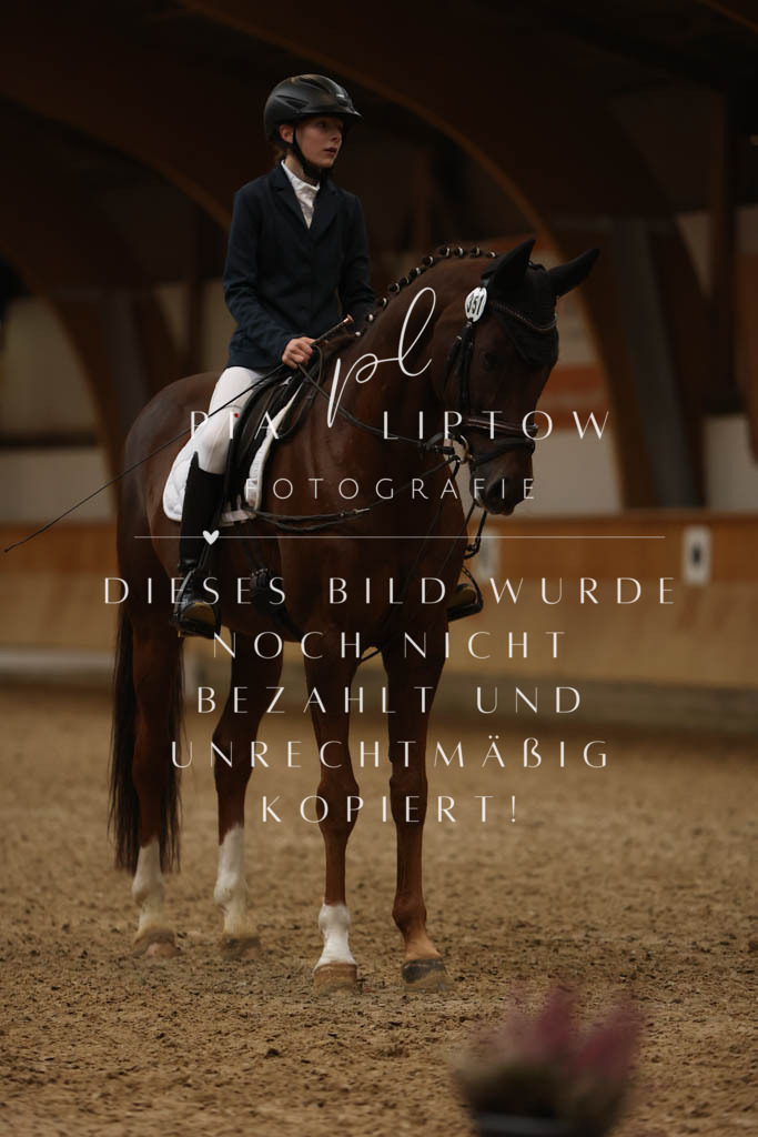 IMGM8794 | pl-fotografie