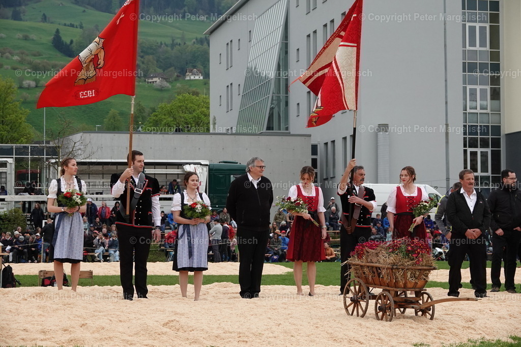 DSC03375 | Schwingen - Realisiert mit Pictrs.com