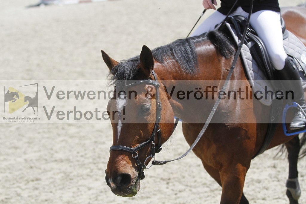_MG_2112 | equestrian-live-com