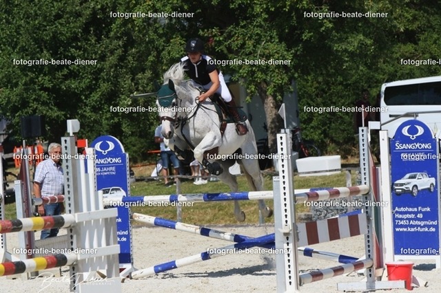 Zeit L (34) | Fotografie, Tiere, Hunde, Katzen, Pferde, Sportfotografie, Fotosession, Tierfotografie, Turnierfotografie, Fotografin, Fotograf - Realisiert mit Pictrs.com