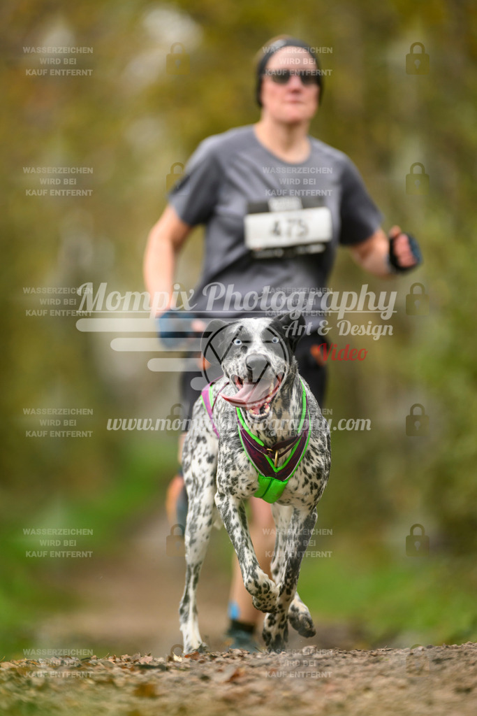 MompixPhotography_20TSB_E6_Run-185 | PayLife