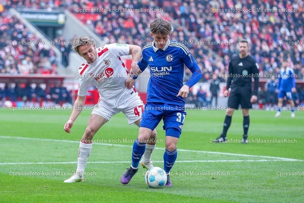 1FC09022501018 | 09.02.2025, Fußball, 1. FC Köln - FC Schalke 04, 2.. Fußball Bundesliga, 21. Spieltag, RheinEnergie-STADION, Saison 2024 2025: Mathias Olesen (FC Köln #47) im Zweikampf gegen Max Grüger (S04 #37)DFB regulations prohibit any use of photographs as image sequences and or quasi-video.