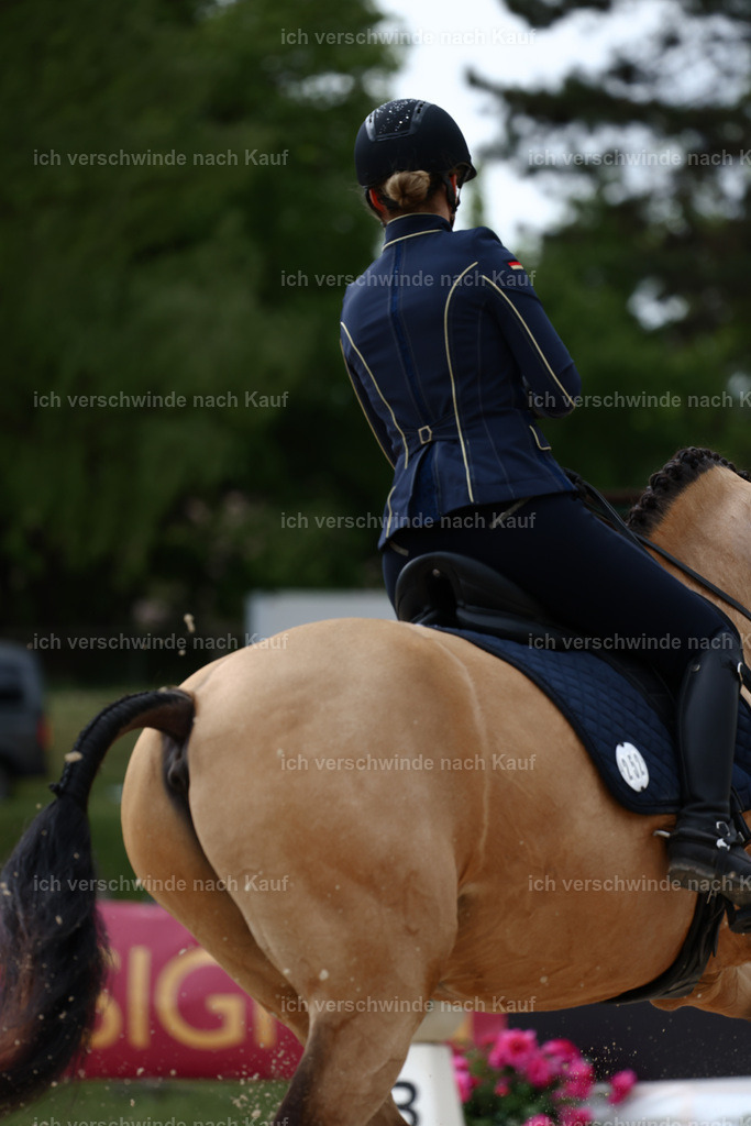 PI26_DR_252_StoibphotographyC2_L7287A.jpg | working equitationturnier fotograf videograf stoibphotography marixx film working equitation deutschland reitsport turnierfotografie eventfotografie equestrian events