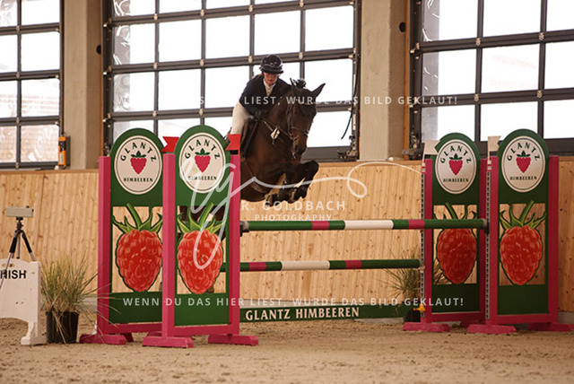 1J2A2702Hanna Nagel_ Rewell 2_ Kn441_ Hohen Wieschendorf_ Glantz | Foto- und Videografie für alles rund ums Pferd. Hochwertige Bilder und Videos vom Spring- und Dressurreiten, Voltigieren & mehr. Jetzt aktuelle Veranstaltungen und Preise im Shop ansehen. - Realisiert mit Pictrs.com