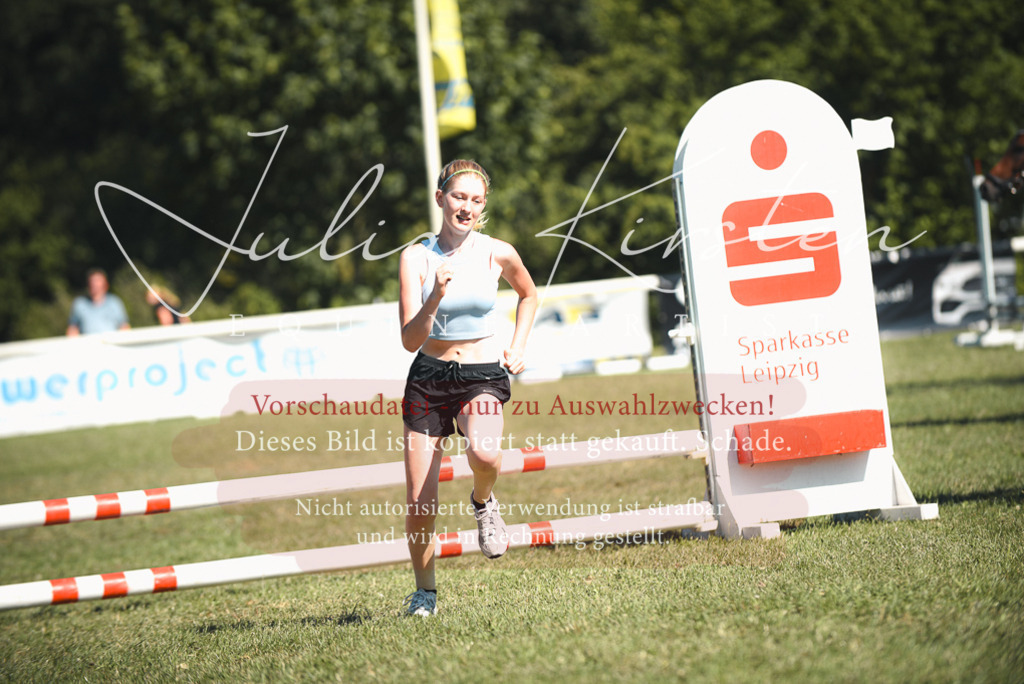 DSC_7470 | Pferde- und Turnierfotografie in Westsachsen. Pferdeportraits, Auftragszeichnungen und intuitive Kunst.