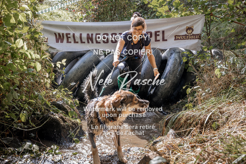 nelerasche_Hunsrück2026_Sa1400-1500_22 | nelerasche