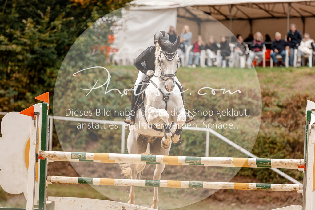 3I6A8177 | Stimmungsvolle Portraits und Reitsportfotografie im Ruhrgebiet und im Münsterland.

Pferdefotografie, Hundefotografie, Tierfotografie, Reportagen, Portraits von Tier und Mensch, Turnierfotografie in Bochum, Recklinghausen, Marl, Haltern am See, Dülmen.. - Realisiert mit Pictrs.com