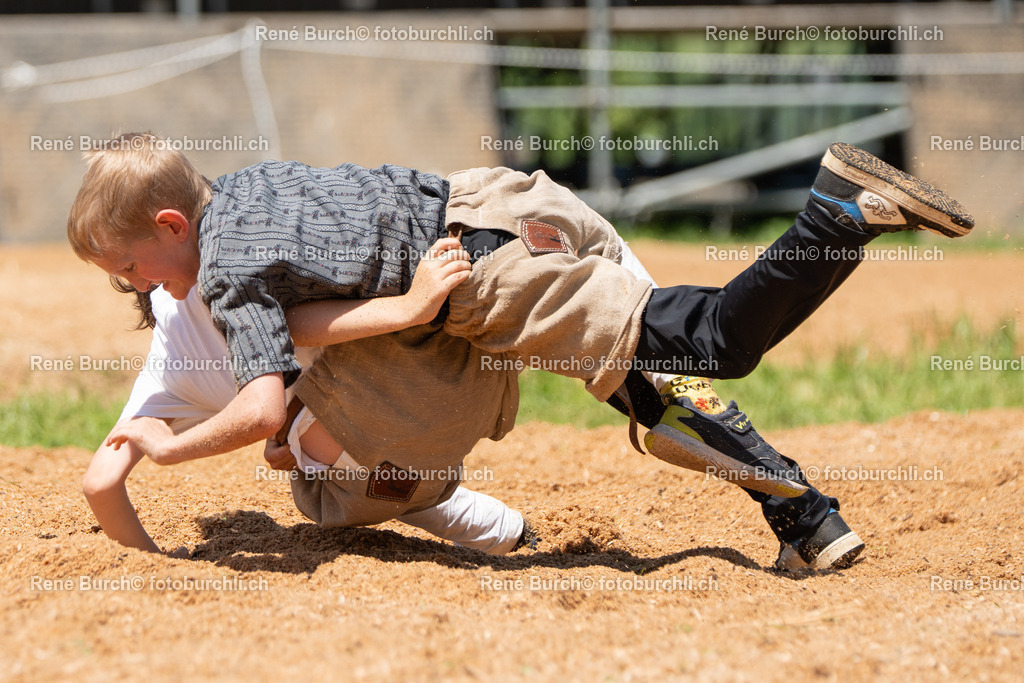 RB_00415 | René Burch leidenschaftlicher Fotograf aus Kerns in Obwalden.  Hier finden sie Sport, Landschaft und Natur Fotografie.
 - Realisiert mit Pictrs.com