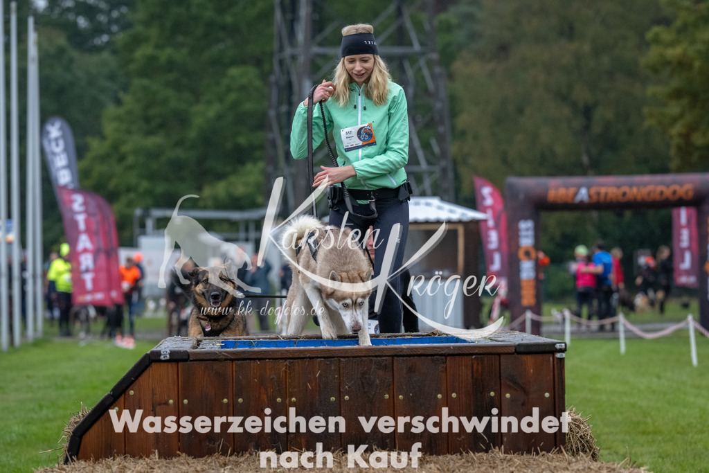 1113-93937 | kk-dogfotos