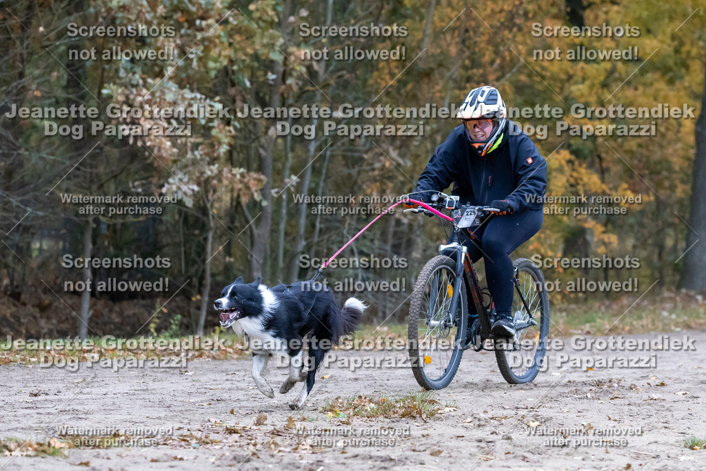 Dog Paparazzi - SD CaniX Championship 2025-257 | Dog Paparazzi Jeanette Grottendiek Fotografie & Videografie - Realisiert mit Pictrs.com