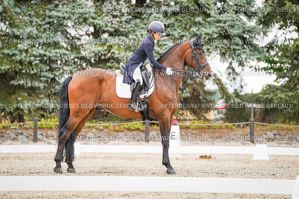 DSC05444 | Pferdegrafie