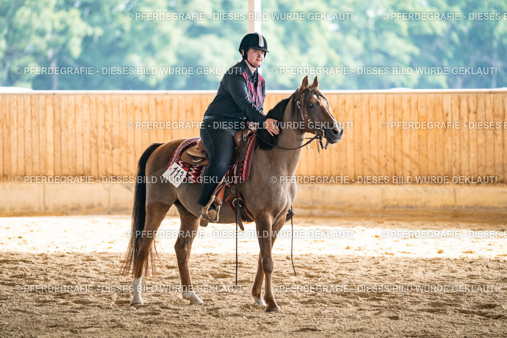 DSC08707 | Pferdegrafie