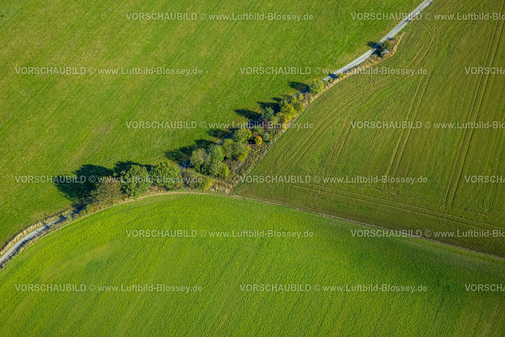 Schmallenberg220903534BadFredeburg | , Luftbild, Baumallee, Wiesen und Felder, Wormbach, Schmallenberg, Sauerland, Nordrhein-Westfalen, Deutschland