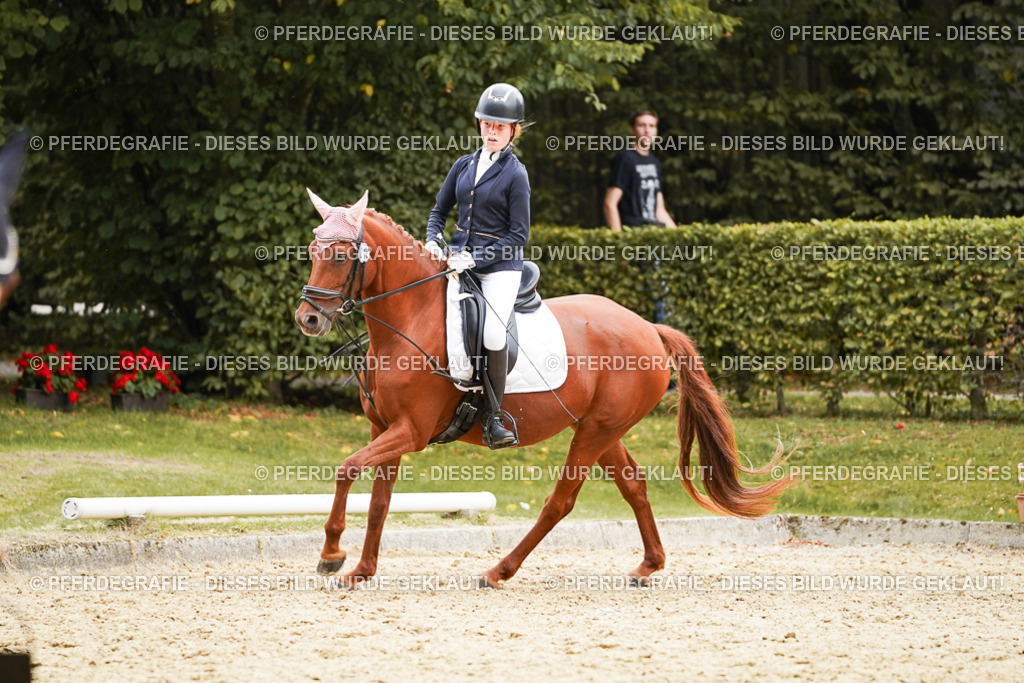 DSC09620 | Pferdegrafie