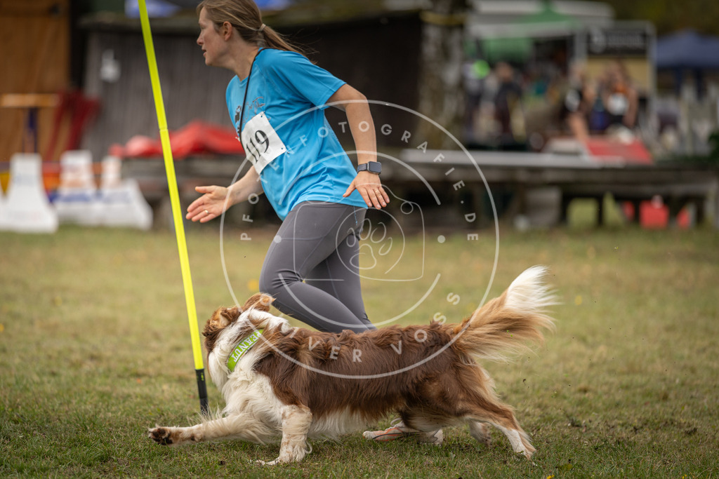 Pfotenfotografie_DV3A7336 | Hundefotografie, Tierfotograf, Pfotenfotografie, Fotoshooting Hund, Hunde Portrait, Hundesport, Hundeportraits, Heideshooting, Hunde, Sportfotograf, Hundefotograf, Turnierhundsport, THS,  - Realisiert mit Pictrs.com
