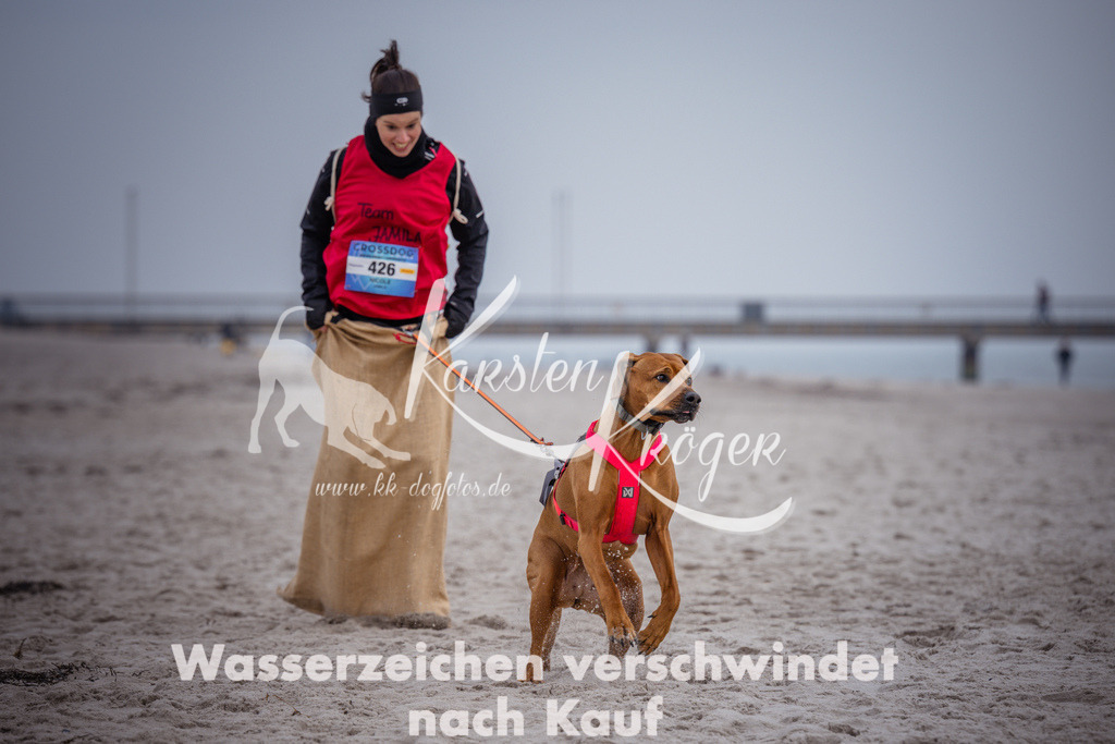 1206_ZZ91996 | kk-dogfotos