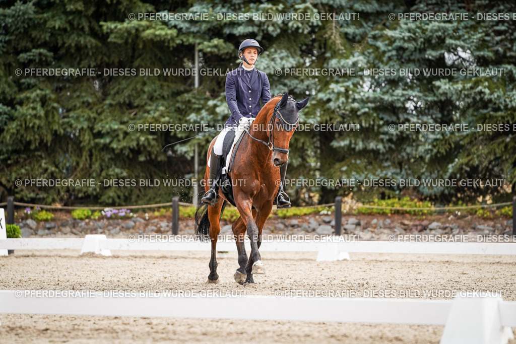 DSC01926 | Pferdegrafie