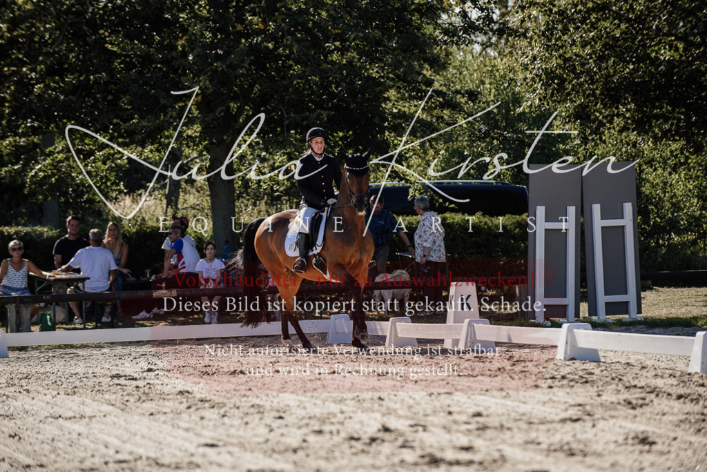 DSC_0319 | Pferde- und Turnierfotografie in Westsachsen. Pferdeportraits, Auftragszeichnungen und intuitive Kunst.