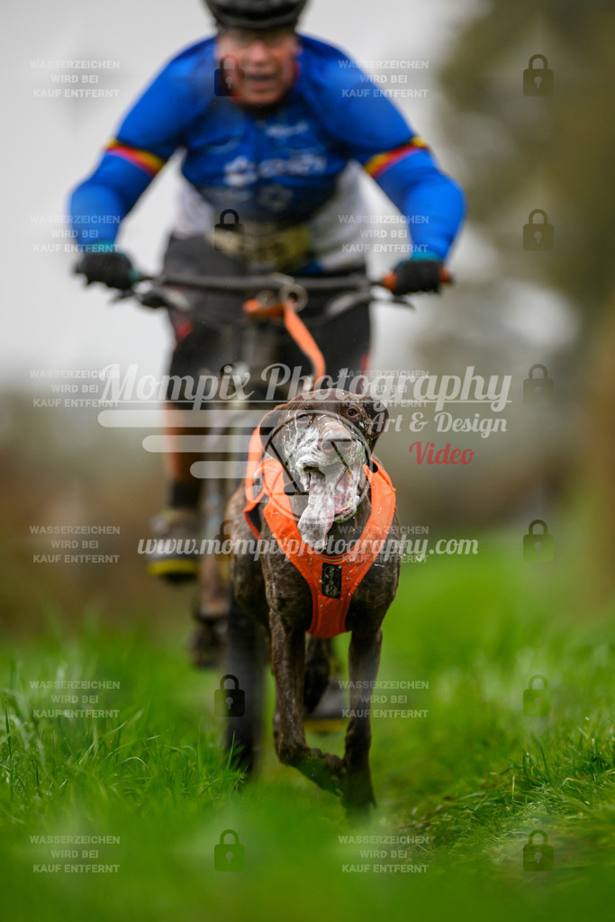 MompixPhotography_20TSB_E8_Bike-80 | PayLife
