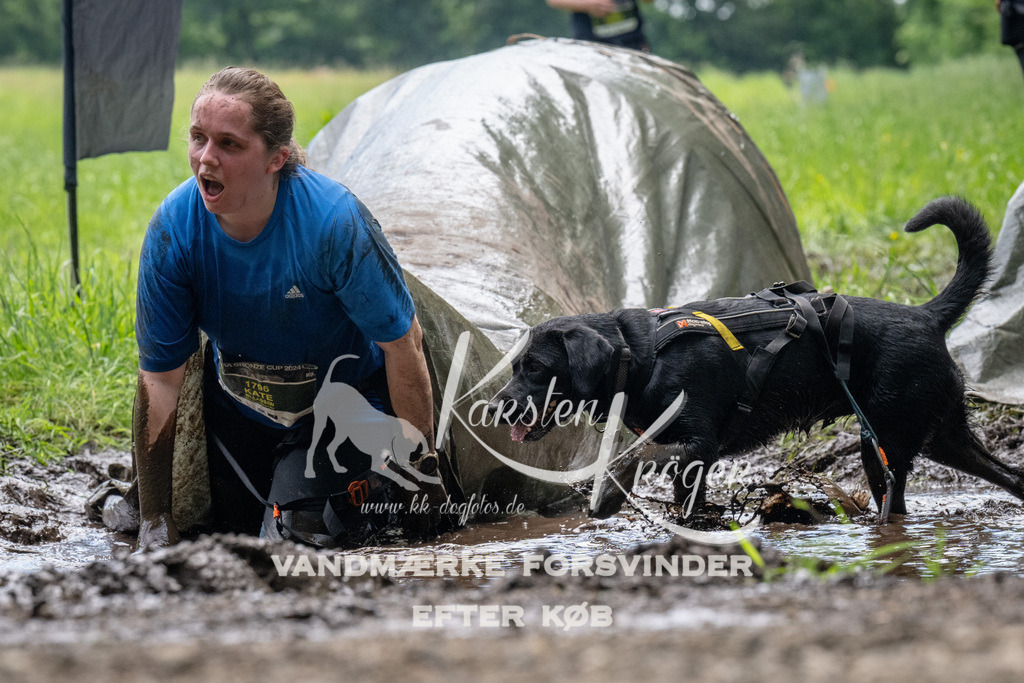 1114_ZZ92058 | kk-dogfotos